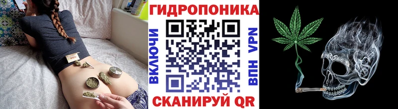 Где купить наркоту Мглин MEGA как войти  Альфа ПВП  Меф  MDMA  МАРИХУАНА  ГАШ 