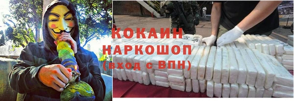 тгк Белокуриха